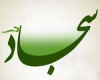 امام سجاد سلام الله عليه در بينش اهل سنت