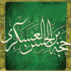 آيا ولادت حضرت مهدي (ع) فقط از طريق حكيمه، نقل شده است؟