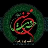 اعتراف ابن ابي دارم به لگد زدن عمر به حضرت زهرا(س) و شهادت حضرت محسن(ع)